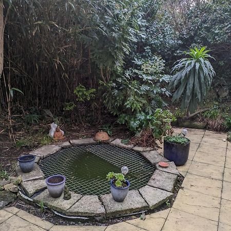 The Garden Apartment St Ives Esterno foto